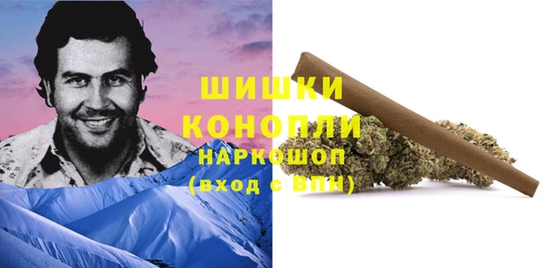 дурь Гусев