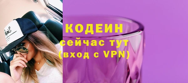мяу мяу кристалл Гусь-Хрустальный