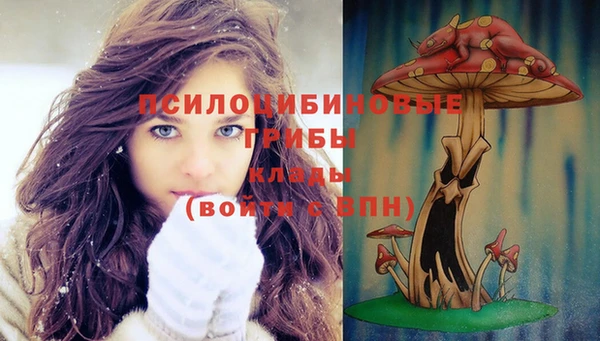 прущая мука Гусиноозёрск