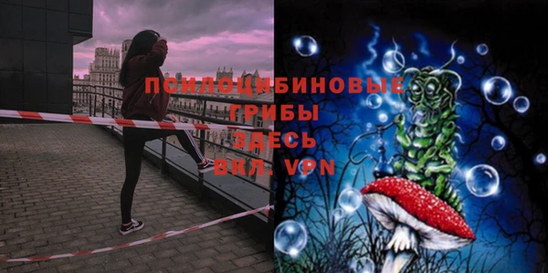 прущая мука Гусиноозёрск