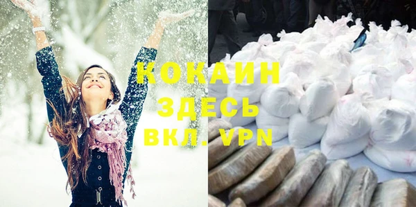 мяу мяу кристалл Гусь-Хрустальный