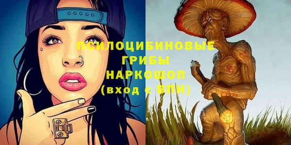 дурь Гусев