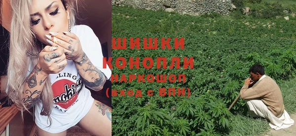 мяу мяу кристалл Гусь-Хрустальный