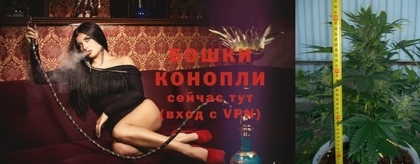 бошки Горнозаводск