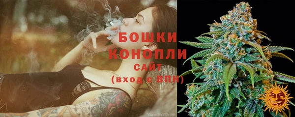 дурь Гусев