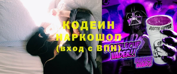 мяу мяу кристалл Гусь-Хрустальный