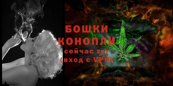 дурь Гусев