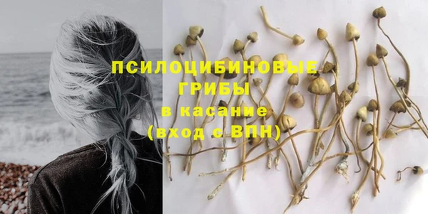 дурь Гусев