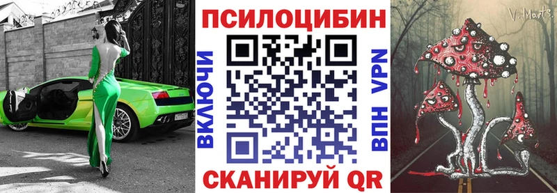 Галлюциногенные грибы Cubensis  купить наркоту  Михайлов 
